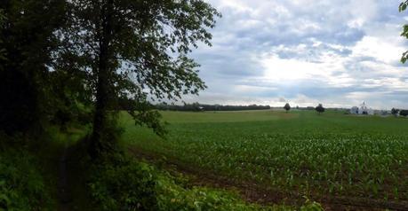 Day 56: Makin' It Happen Again! Day 56: Makin' It Happen Again!