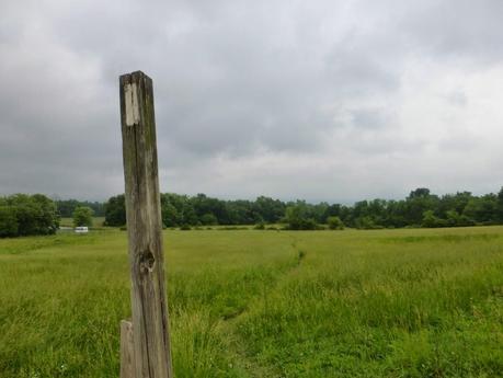 Day 56: Makin' It Happen Again! Day 56: Makin' It Happen Again!