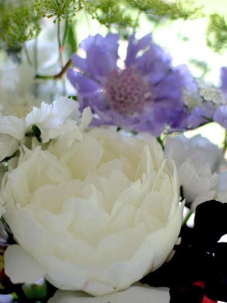 White Peony & Blue Scabious