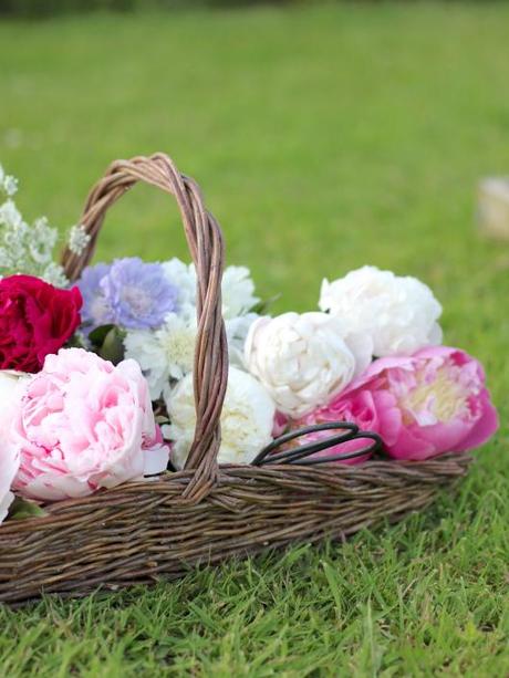 Cutting Garden Flowers