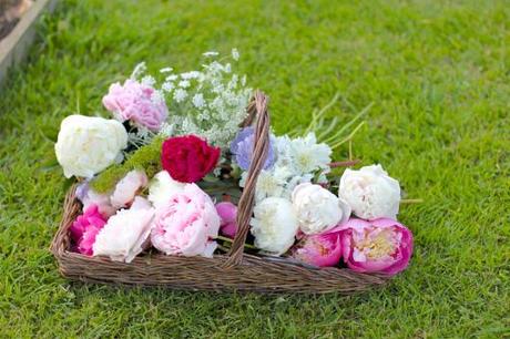 Cutting Garden Flowers