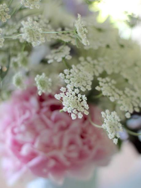 Pink Peony & Ammi Majus