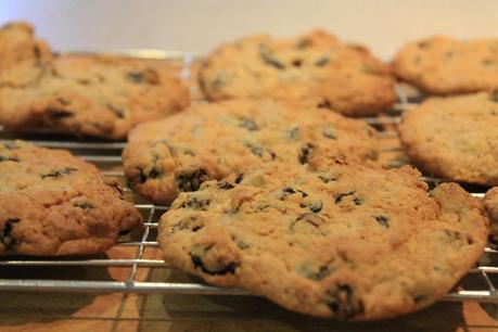 Recipe || Raisin and Oat Cookies