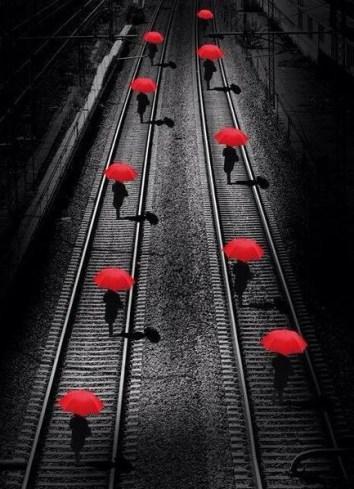 Red Umbrellas by Georgio Bisetti