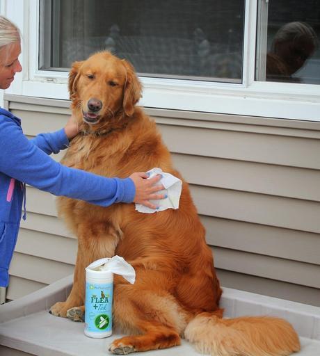 Pet Naturals of Vermont