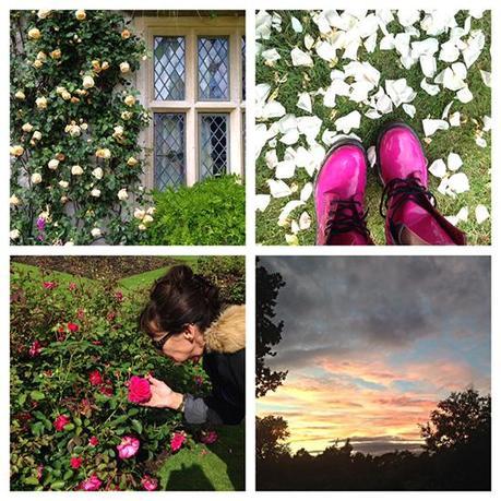 1day12pics- Anglesey-abbey-via-miafleur (1)