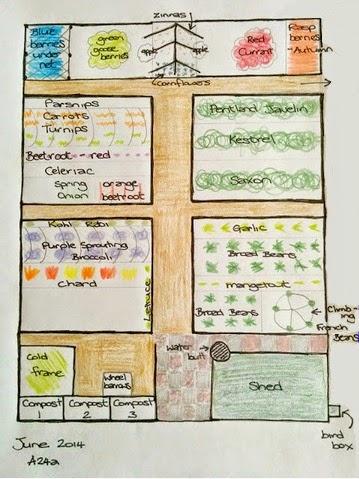 Hand drawn plan of a24a - 'growourown.blogspot.com' - An allotment blog