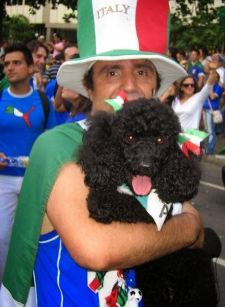Photos: FIFA World Cup 2014 celebrated by dogs