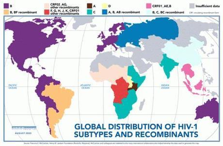Nice map shows HIV subtypes around the world.