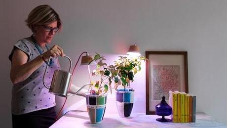 Led light for indoor gardening