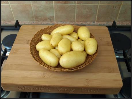 Harvesting potatoes