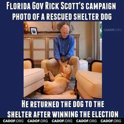 Not a good governor, not a good dog owner, not a good human being -- but VERY conservative