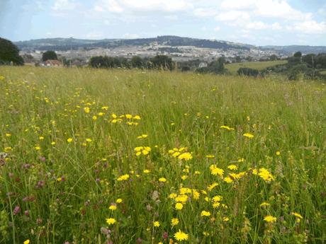 walk - Bath skyline - six miles