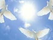 Sunday Devotional: Holy Trinity