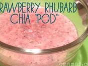 Strawberry Rhubarb Chia “pod”