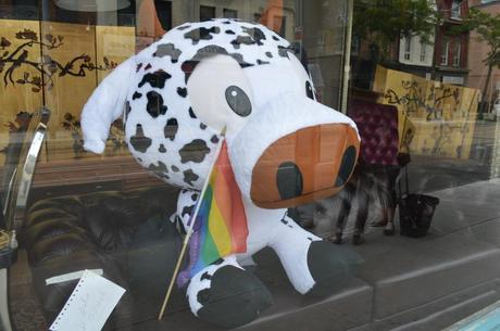 Pride Cow