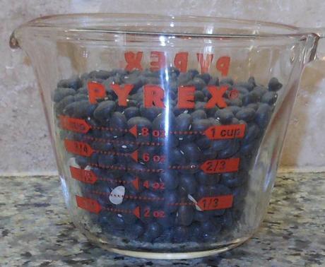 I measured out just over one cup of black (turtle) beans.