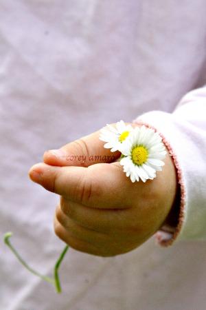 Baby's hand with flower