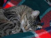 D-CON: Poison That Keeps Killing