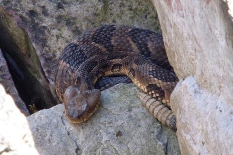 Day 61: Let The Rock Hopping Begin Day 61: Let The Rock Hopping Begin