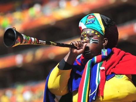 South Africa fan 2010