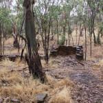 Old Cabin near mineshaft, Barossa Goldfields