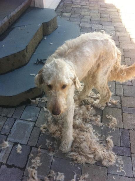 Fess Up Friday - What's Really Been Going On in MY Life