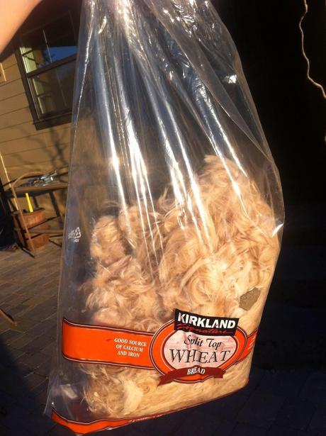 Fess Up Friday - What's Really Been Going On in MY Life