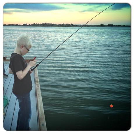 Landscaping the Sports Court Continues and our Family Trip