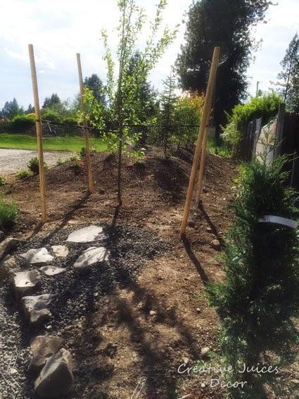 Landscaping the Sports Court Continues and our Family Trip