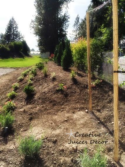 Landscaping the Sports Court Continues and our Family Trip