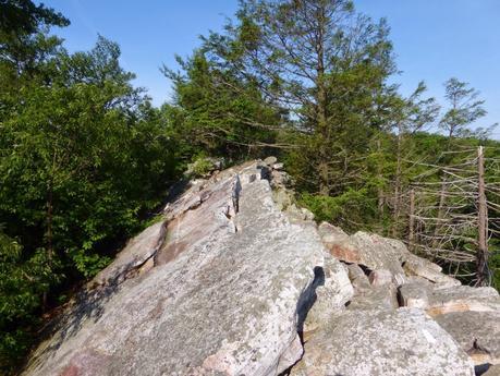 Day 62: Hitting Rock Bottom...Hard