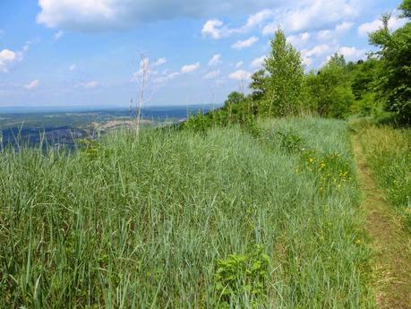 Day 62: Hitting Rock Bottom...Hard