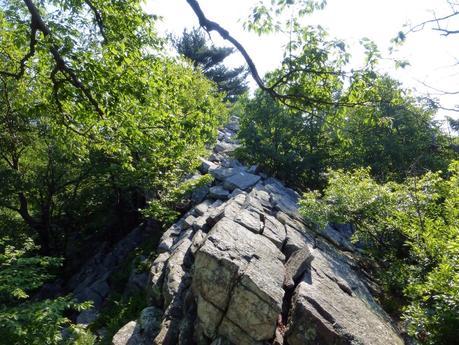 Day 62: Hitting Rock Bottom...Hard