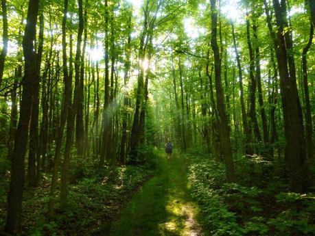 Day 62: Hitting Rock Bottom...Hard