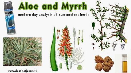 Aloe and Myrrh: modern day analysis of  two ancient herbs