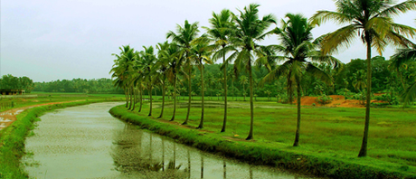 Know About Kerala Geographical Feature