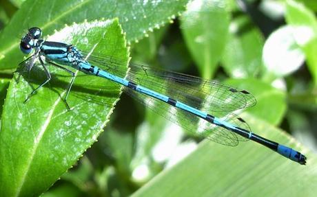 Know About Kerala Geographical Feature