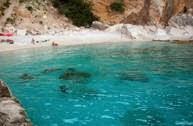 Cala Mariolu in Sardinia. You, the beach and the monks seal.