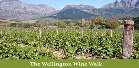 Wellington Wine Walk South Africa