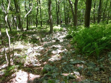 Day 63: Brand New Day Day 63: Brand New Day