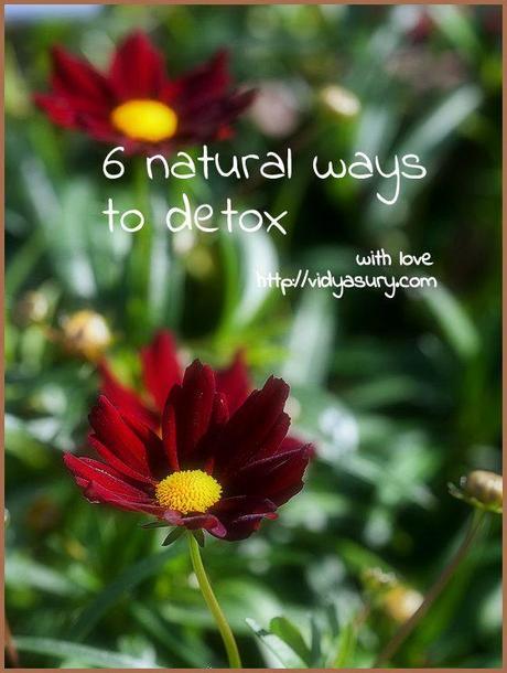 natural ways to detox vidya sury