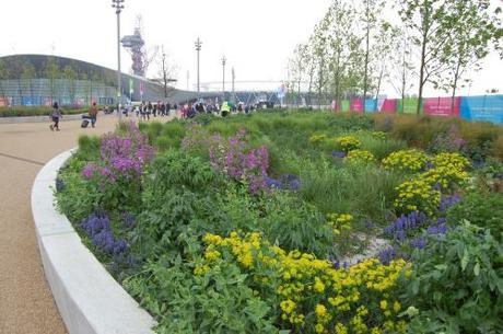 Queen Elizabeth Olympic Park, Stratford, London - Raised Planter