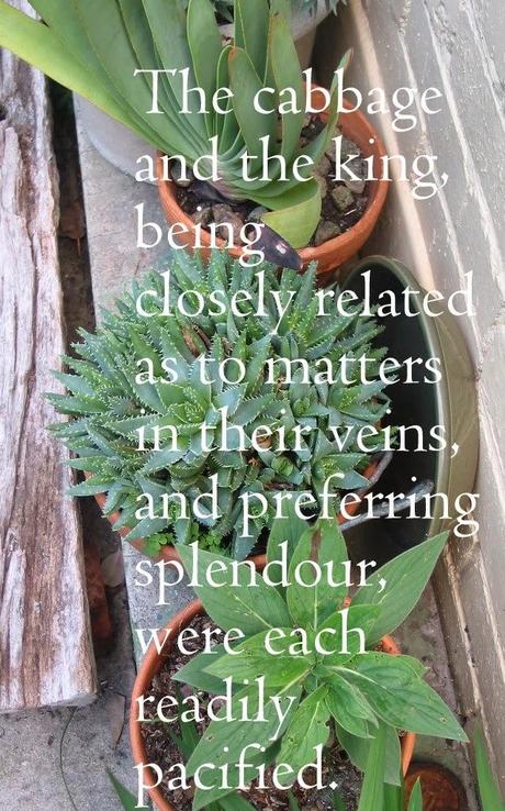 Cabbage and King, Horticulturalists