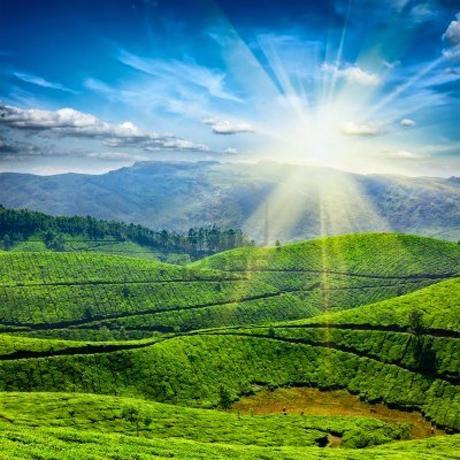 Weather Pattern in Kerala