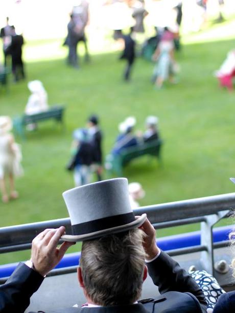 Top Hat - Ascot