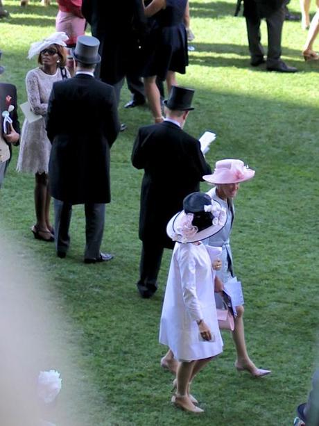 Ascot Hats