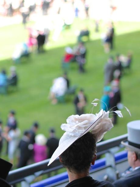 Ascot Hat