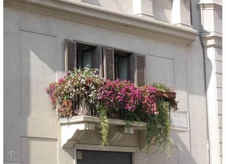 From Rome, Italy. Piazza Novona. Photo Credit: Chrissie Werzinsky.