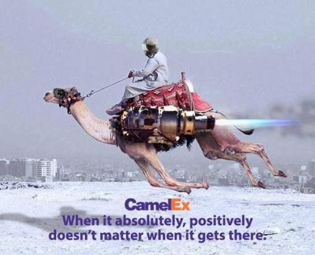 CamelEx